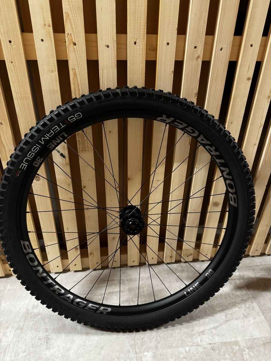 Pezzi di ricambio: Bontrager Downhill Vorderrad – Nuovo (secondo la descrizione) da Ibach venduto da Robster200