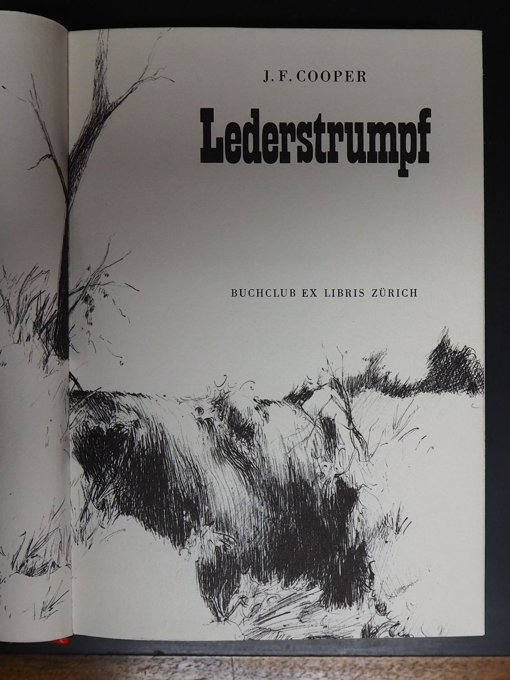 Libri: Lederstrumpf vom J.F. Cooper – Usato da Chur venduto da big_5zx8 2
