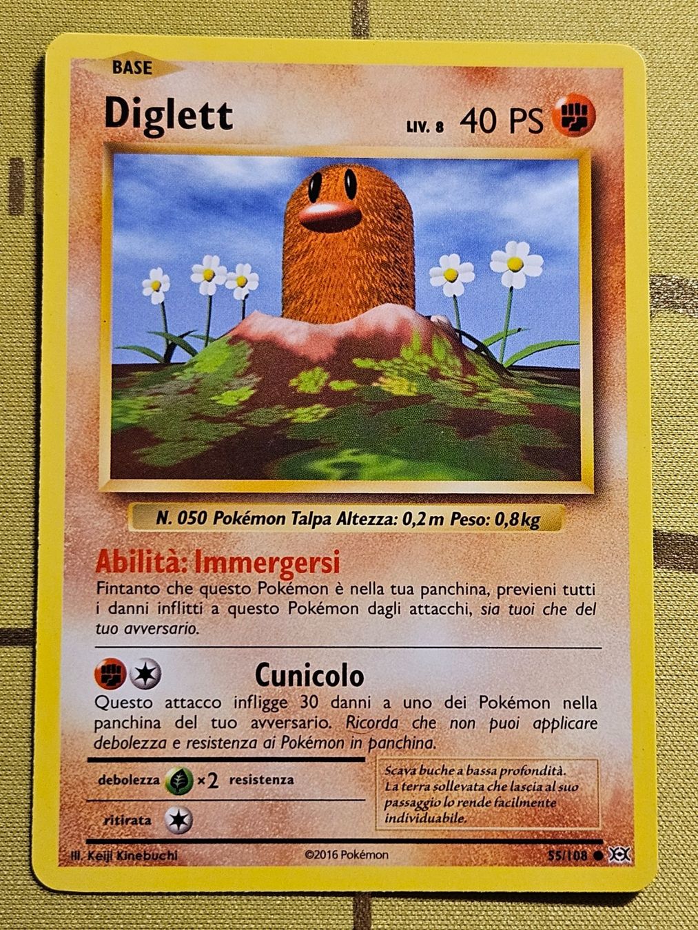 Pokémon Carte collezionabili: Evolutions - Diglett 55/108 IT – Usato da Bellinzona venduto da Pokemarco