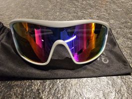 Alpina Sportbrille hellgrau