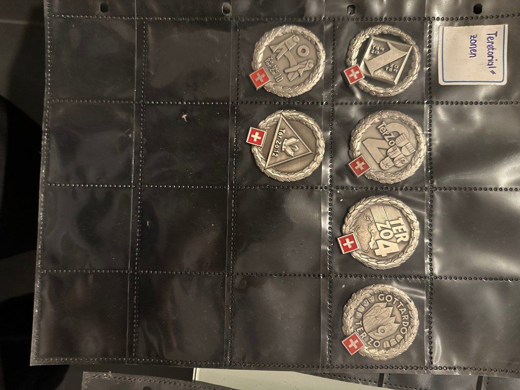 Schweizer Armee Uniformi: Grosse Sammlung Schweizer Beretembleme Militärabzeichen – Usato da Brunnen venduto da 23068 2