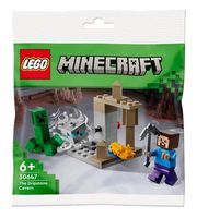 LEGO Minecraft 30647 The Dripstone Cavern Polybag