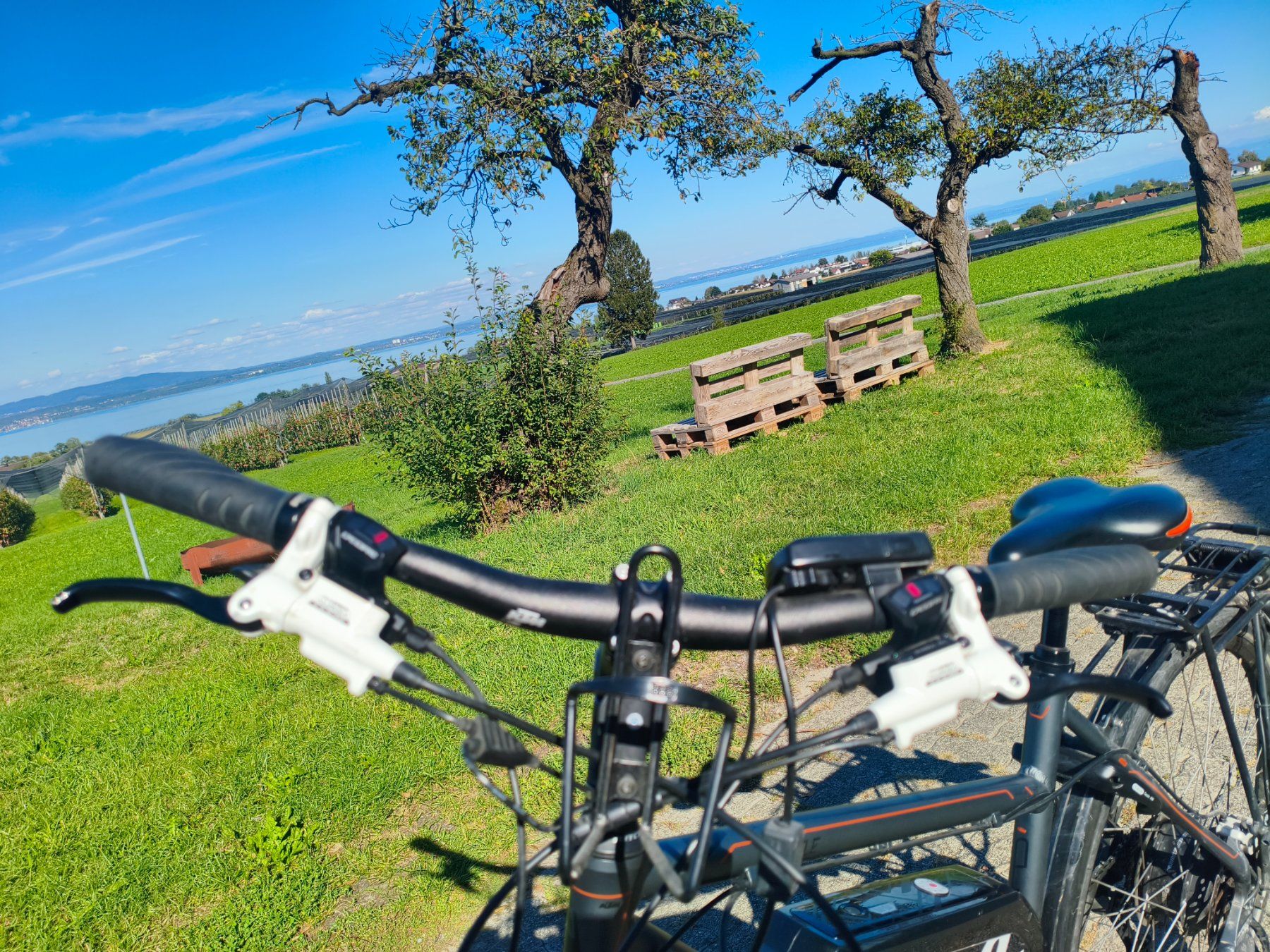KTM eStyle E-Bike – Panasonic – Shimano Deore – nur 1'100 km (D ...