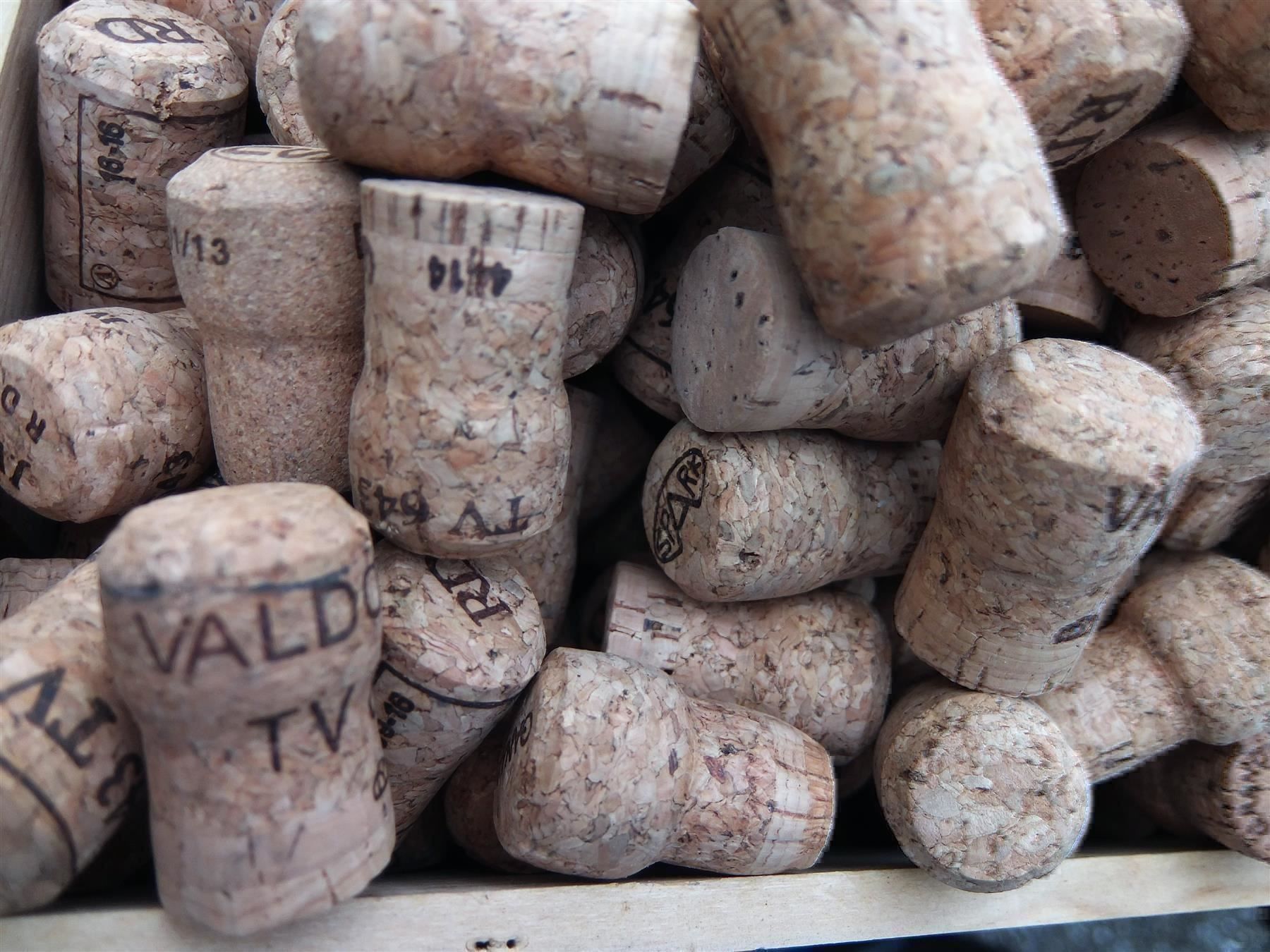 Flaschenöffner & -verschlüsse: Über 440 Champ./Prosecco Korken ca. 4 Kg – Gebraucht aus Wöschnau von Vinsale 5
