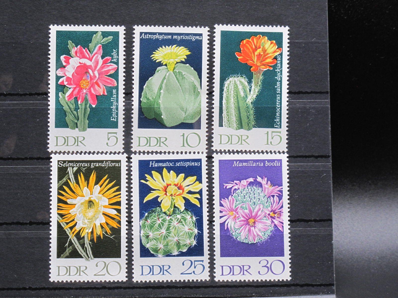 Tutti i francobolli: DDR 1970 Kakteeen I ** – Usato da Wil SG venduto da fva01