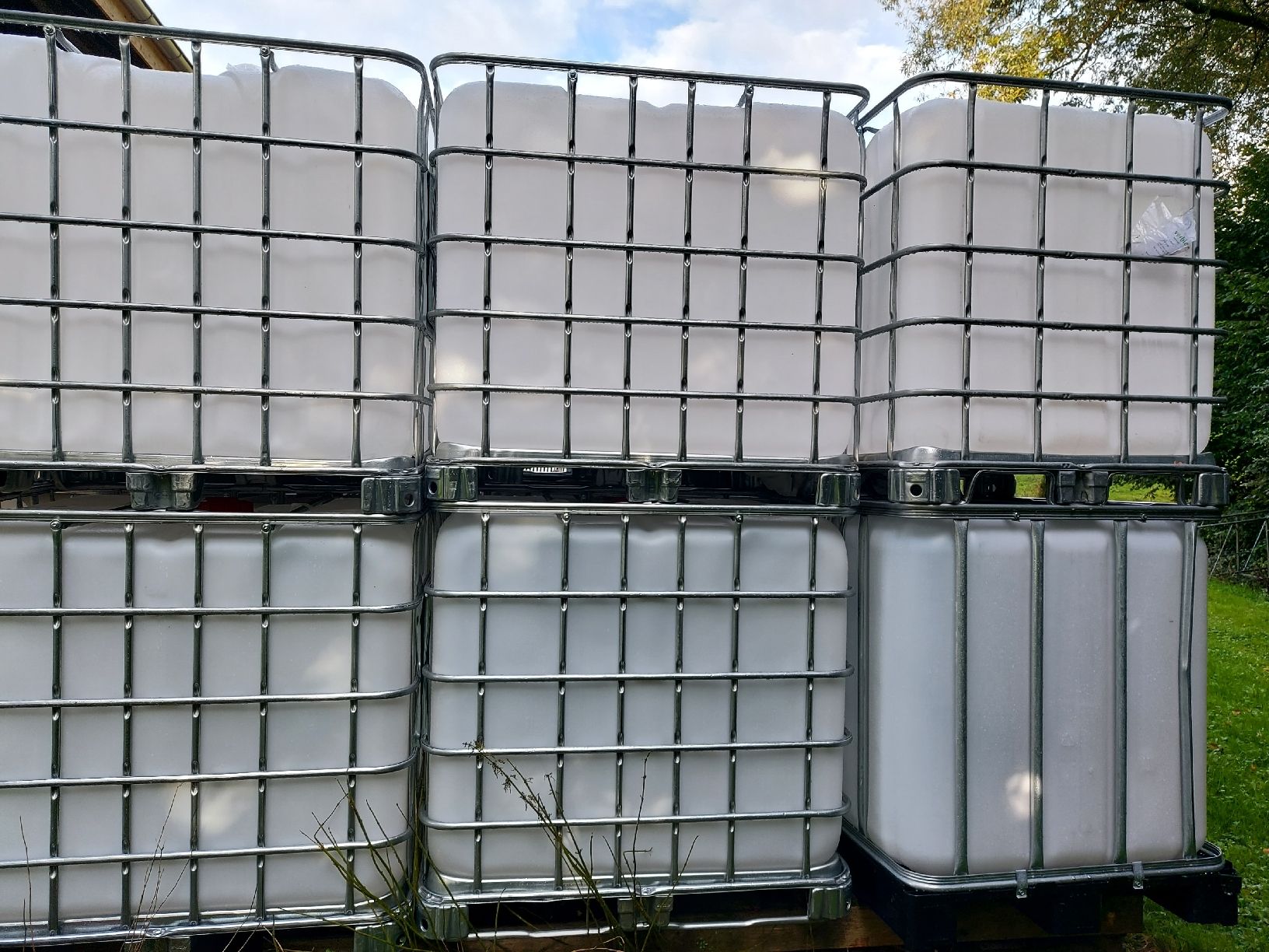 Contenitori edile: IBC Container / Wassertanks – Usato da Wuppenau venduto da Gastro.Wuppenau 4