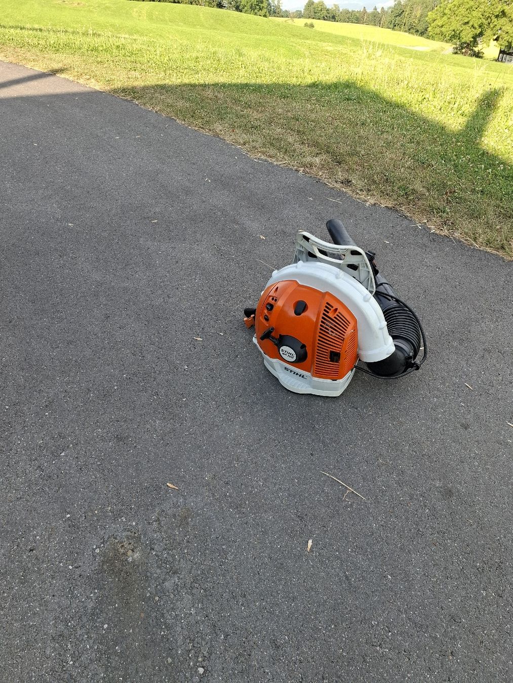 Stihl Laubbläser & Laubsauger: LAUBBLÄSER BR 700 – Gebraucht aus Emmenbrücke von dsn15