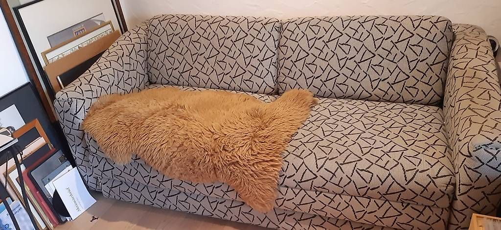 Divani: Bettsofa gebraucht – Usato da Kreuzlingen venduto da seb_9zgt
