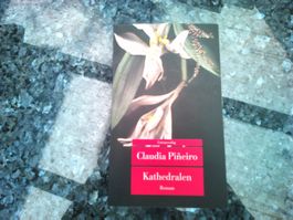 Kathedralen von Claudia Pineiro