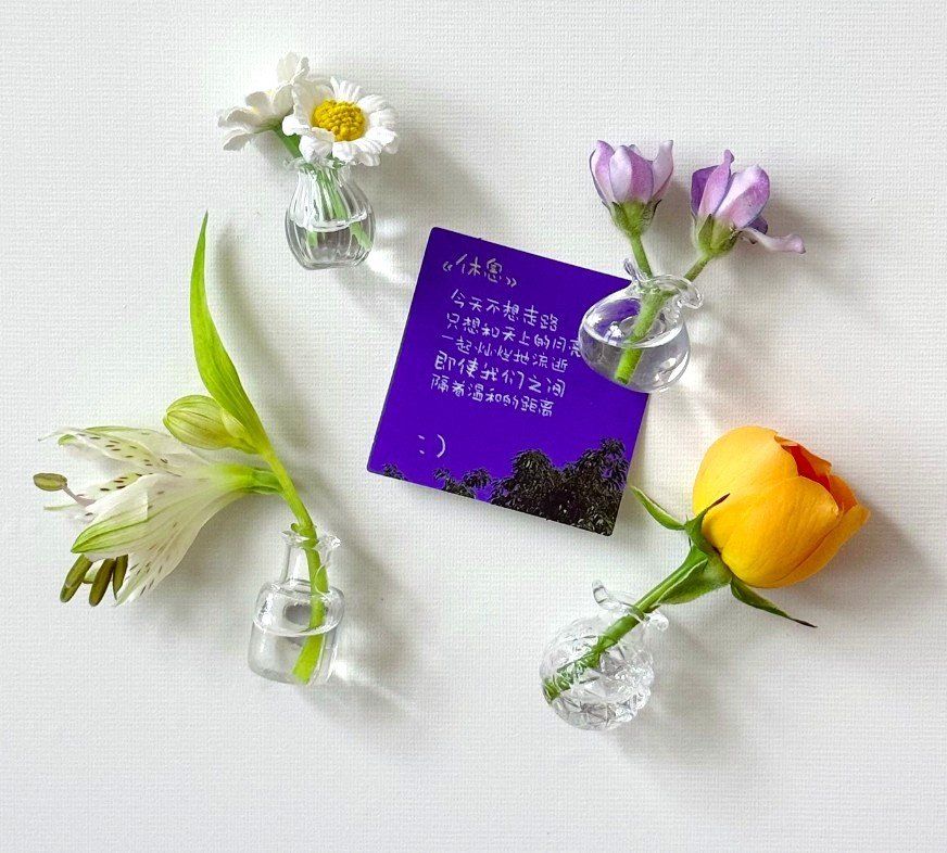 Vasen & Gefässe: 4 Mini Glasvasen mit Magnet – Neu (gemäss Beschreibung) aus Finstersee von Small-Daily-Rituals