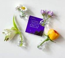 4 Mini Glasvasen mit Magnet