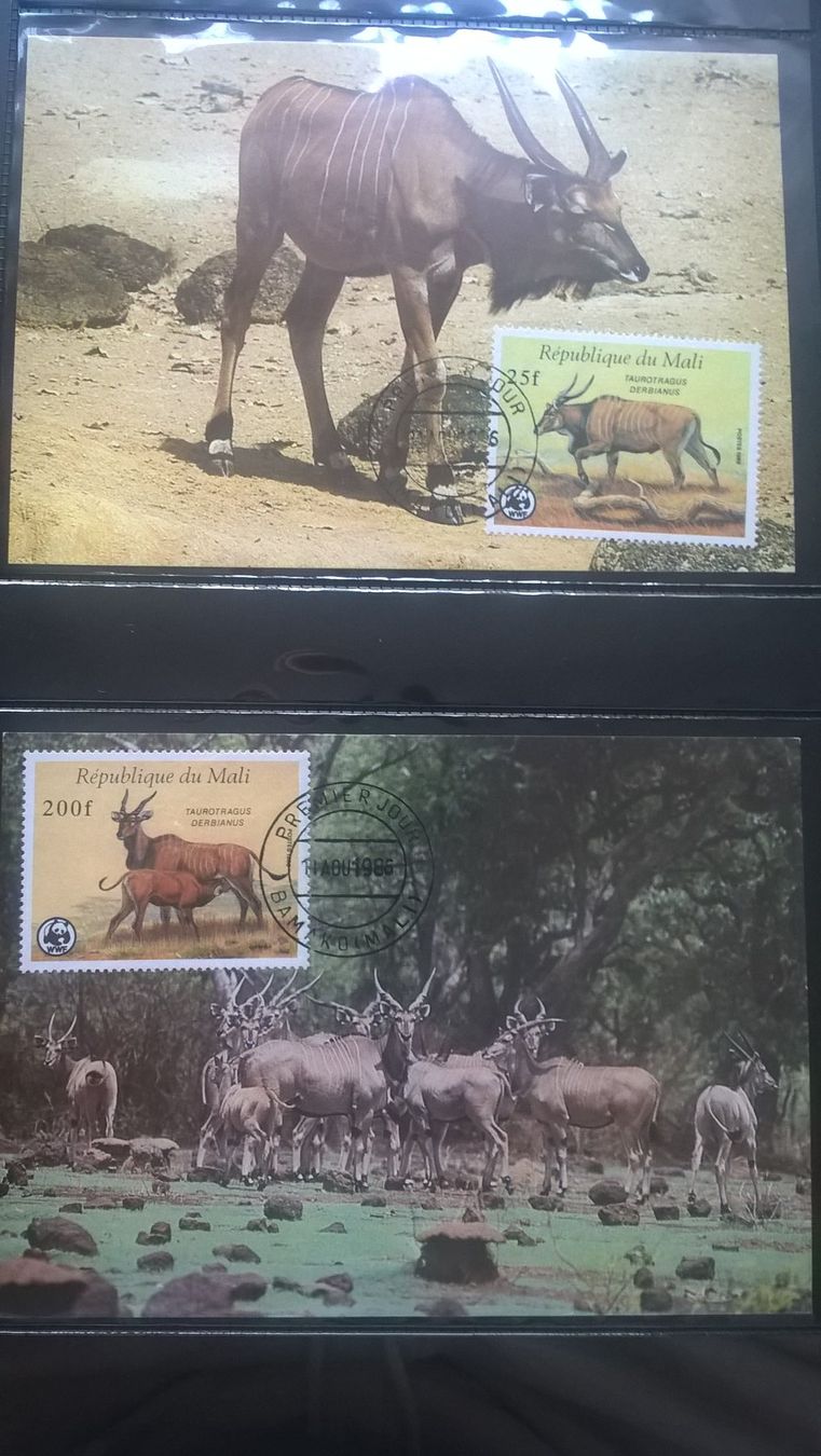 Tutti i francobolli: Mali 1986 Satz WWF Riesenelen Maximumkarten – Nuovo (secondo la descrizione) da Liestal venduto da schnueps 1