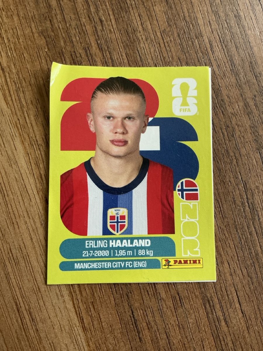 Panini Cartes à collectionner: Haaland zu ersteigern  – D'occasion à Winterthur par urkscout