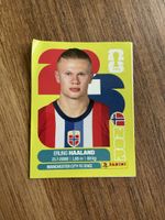 Haaland zu ersteigern 
