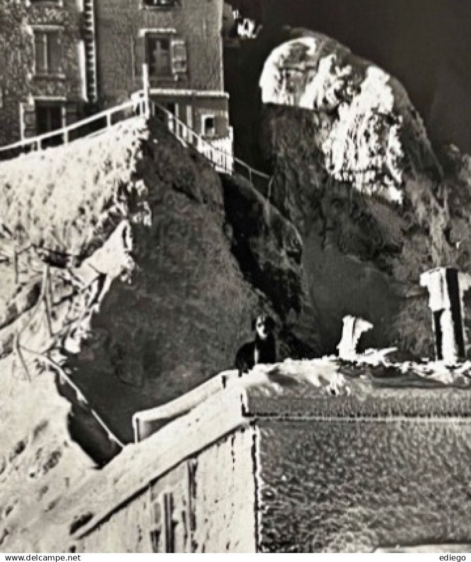 Cartoline postali: Säntis - Observatorium 1934 – Usato da Lutry venduto da Ediego 1