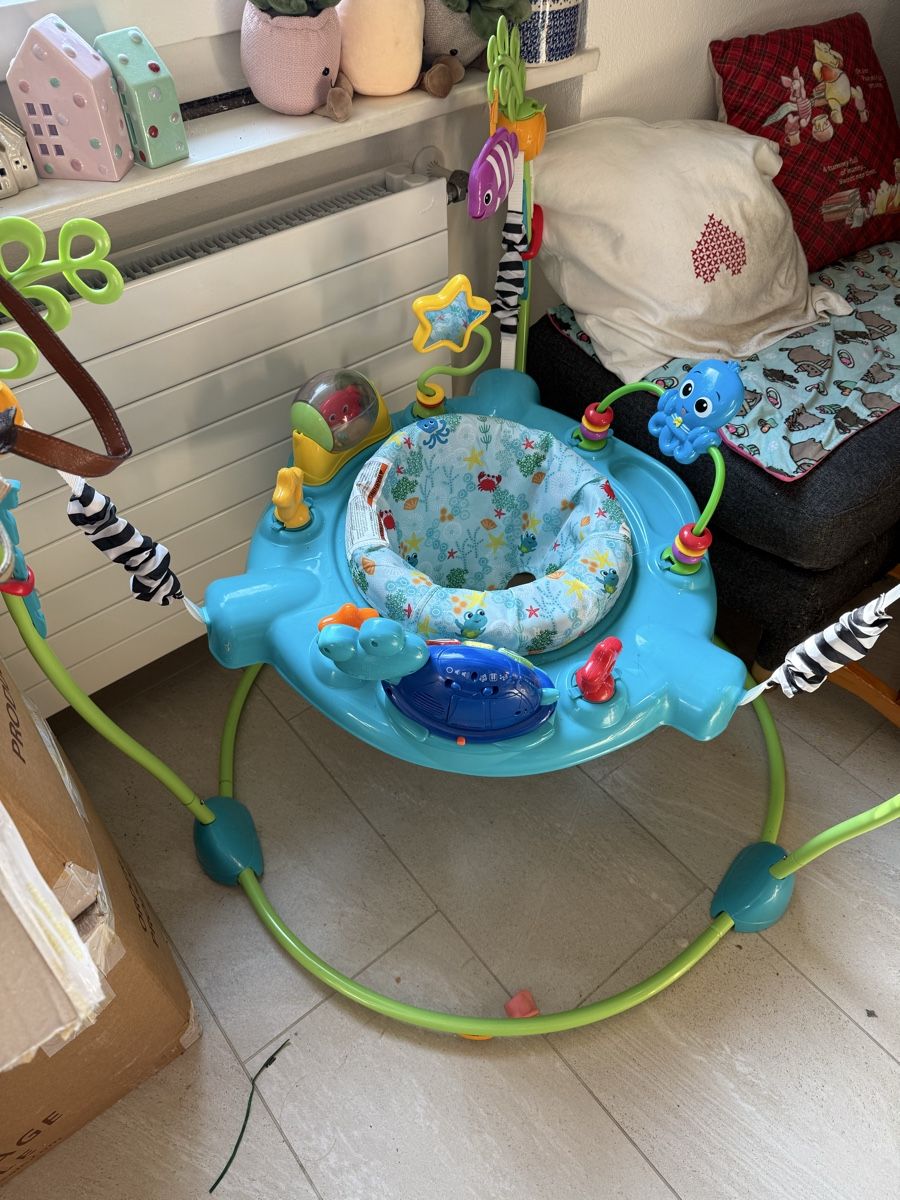 Giocattoli: Baby Einstein Activity Chair – Usato da Mendrisio venduto da ketolin 1