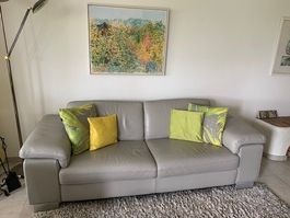 Polstermöbel (Sofa) Leder grau neuwertig