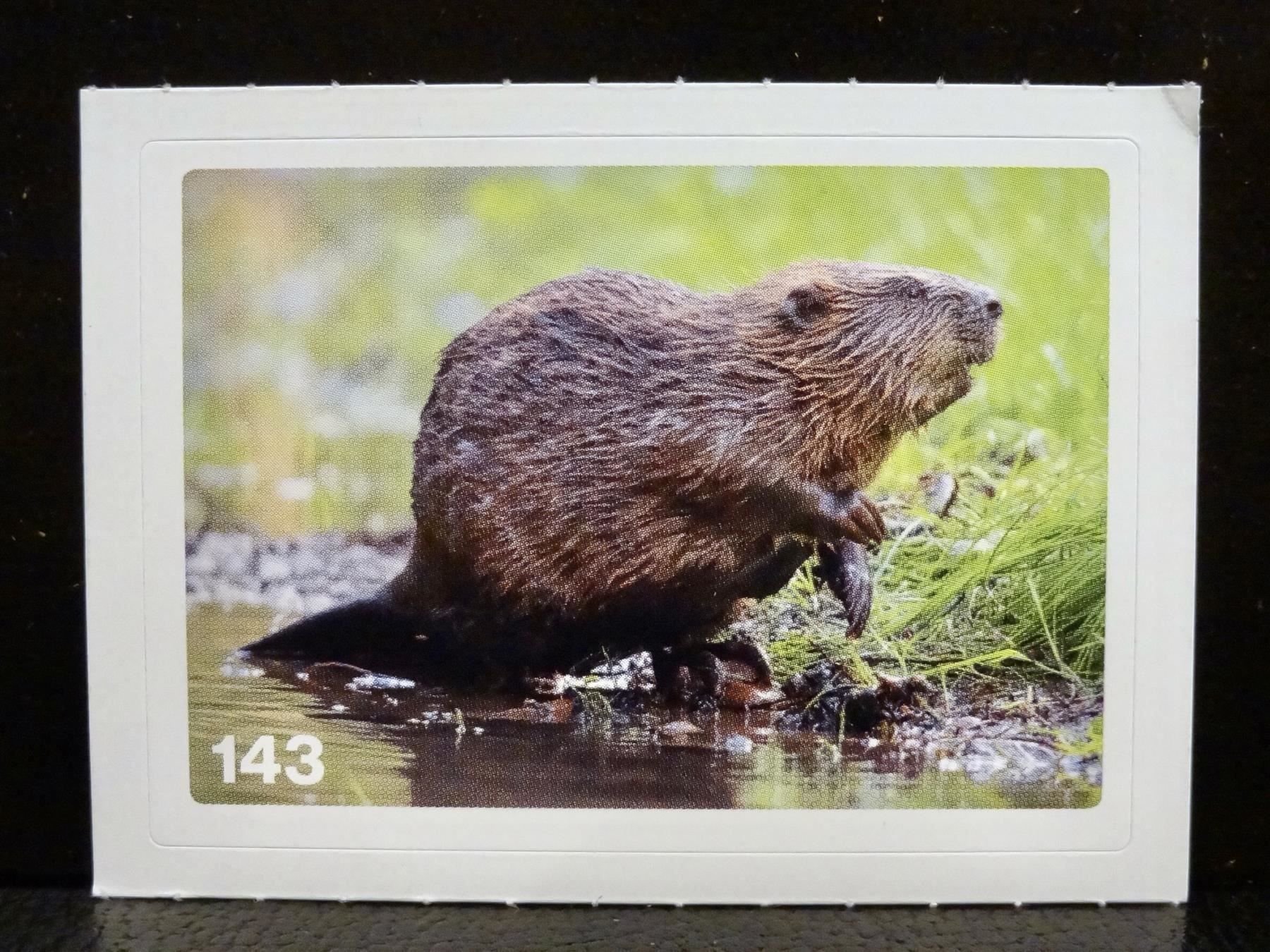 Migros Cartes à collectionner: MIGROS MANIA Nature Detectives Nr. 143 – Neuf avec emballage d'origine à Kerzers par zimmergruen