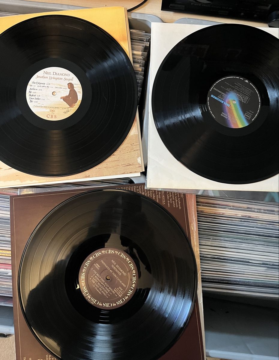 Dischi in vinile: 3 Neil diamond lps – Usato da Liestal venduto da TKocher 1
