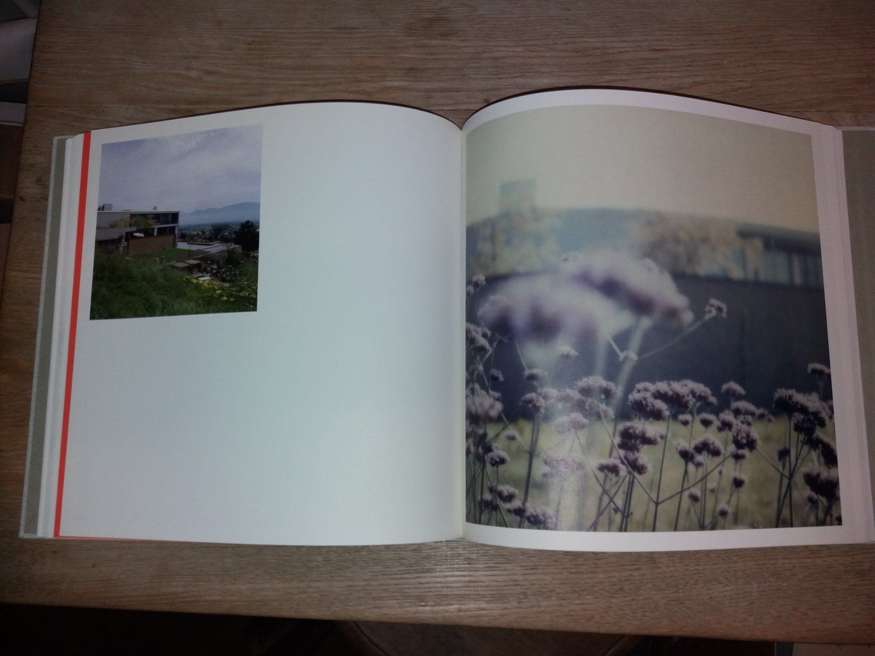 Libri: ARCHITEKTUR     ecolo      Architekten selten – Usato da Welschenrohr venduto da Regool