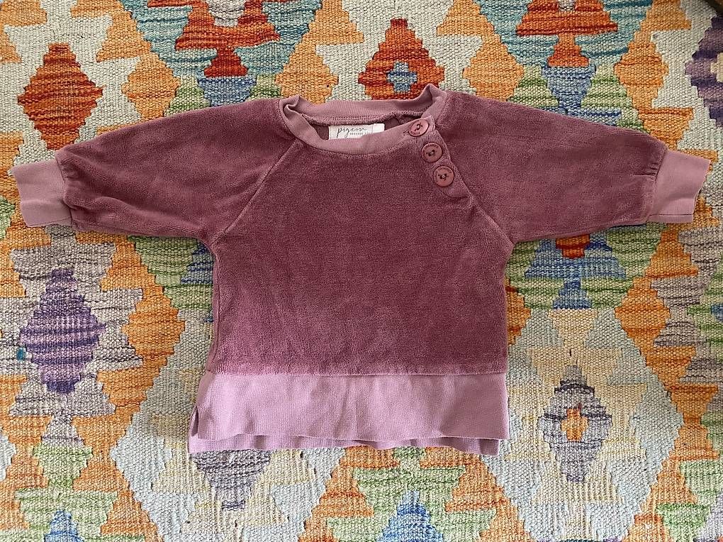 Maglioni & Felpe: Pigeon Frottee Pullover 3-6 Mt – Usato da Bottmingen venduto da ili_7c8k