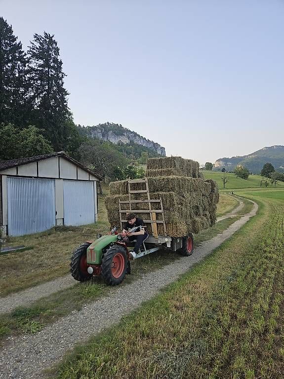 Veicoli commerciali: Rapid 606 mit Triebachsanhänger – Usato da Mümliswil venduto da KAWASAKIKX01