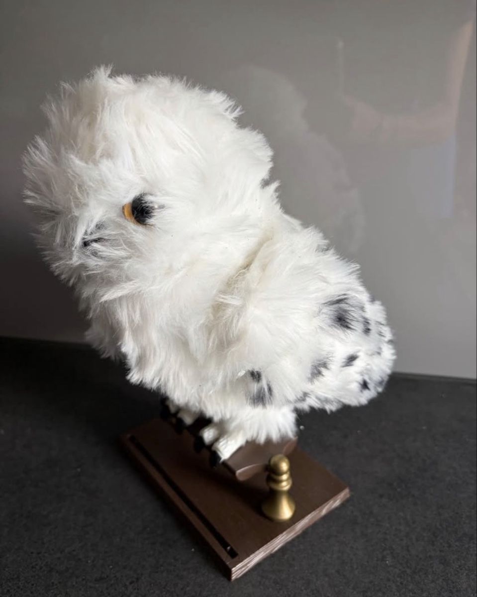 Giocattoli: Hedwig Eule Plüschfigur Harry Potter – Usato da Endingen venduto da country_family