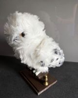 Hedwig Eule Plüschfigur Harry Potter