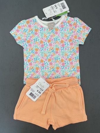 NEUES Shirt mit Shorts, Sommerset Gr.62/68