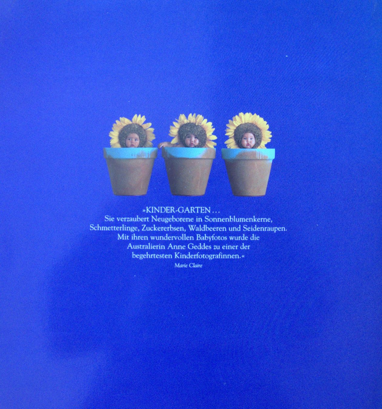Libri: Anne Geddes "Drunten im Garten" Fotobuch – Usato da Rheinfelden venduto da bigi0956 3