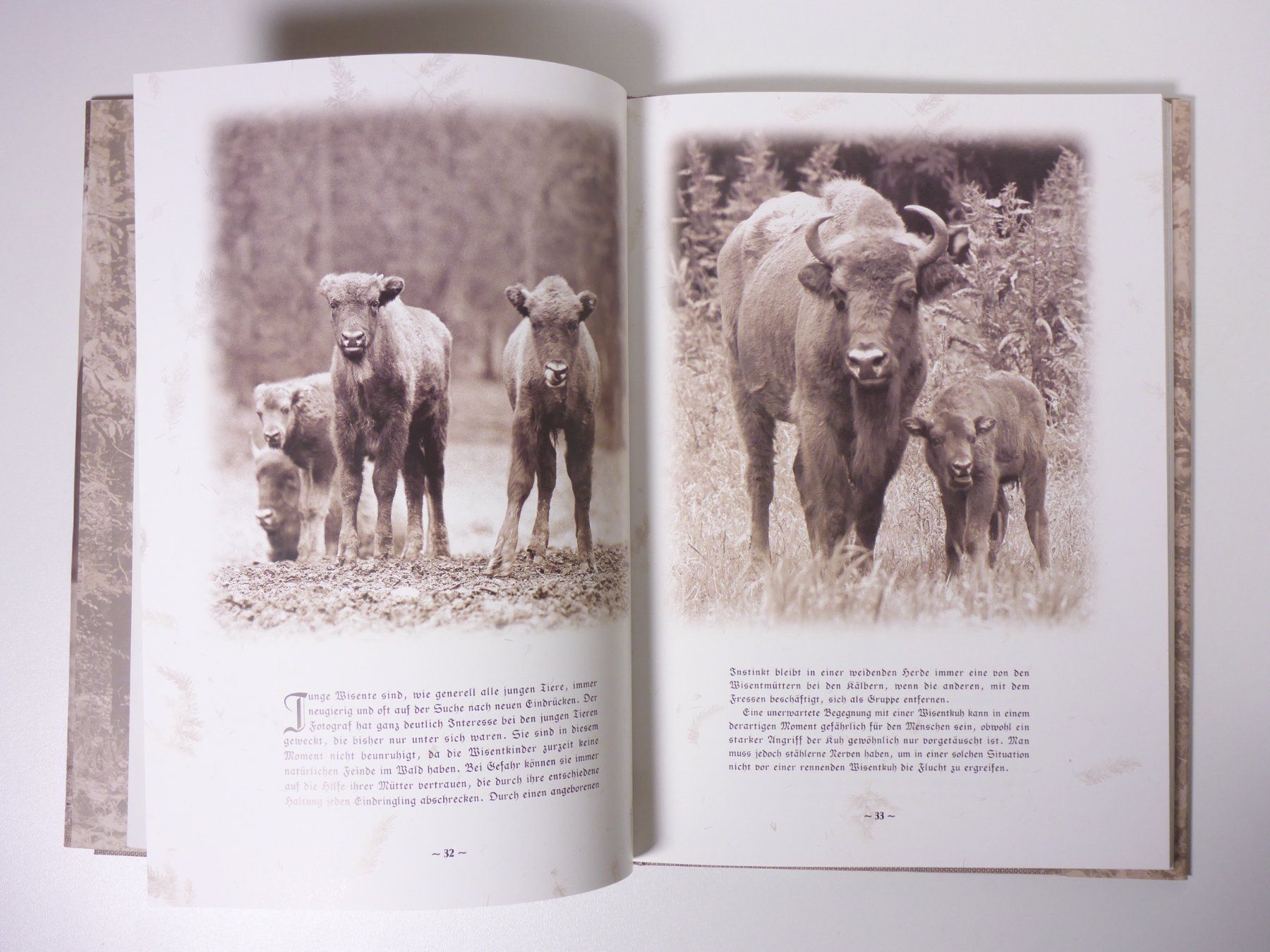 Libri: A. Stachurski: Wisent – Usato da Erschwil venduto da taglang 1