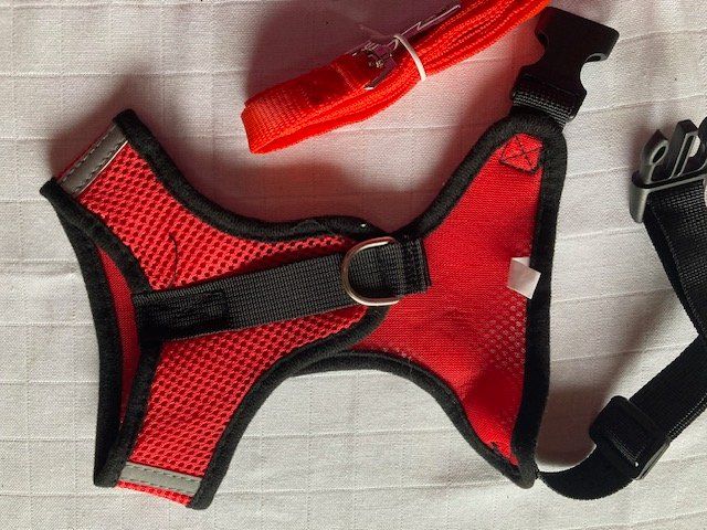 Guinzagli & Collari: Hundegeschirr M – Nuovo e nell'imballaggio originale da Matt venduto da Westigruppe 2