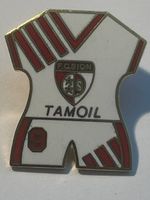 33. Pin FC Sion
