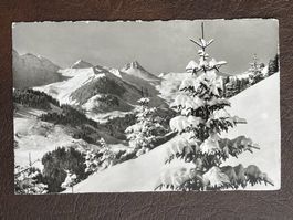 Adelboden - Hörnliweg