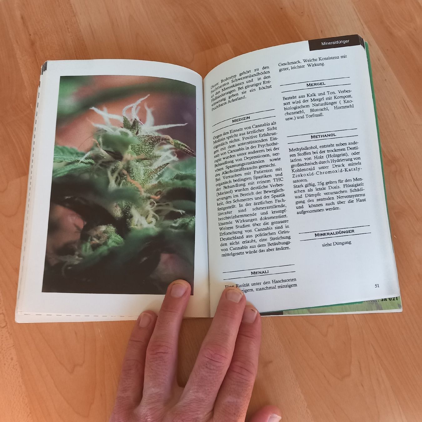 Libri: Audi Haller Die kleine Hanffibel  – Usato da Ebnat-Kappel venduto da blazzi 2