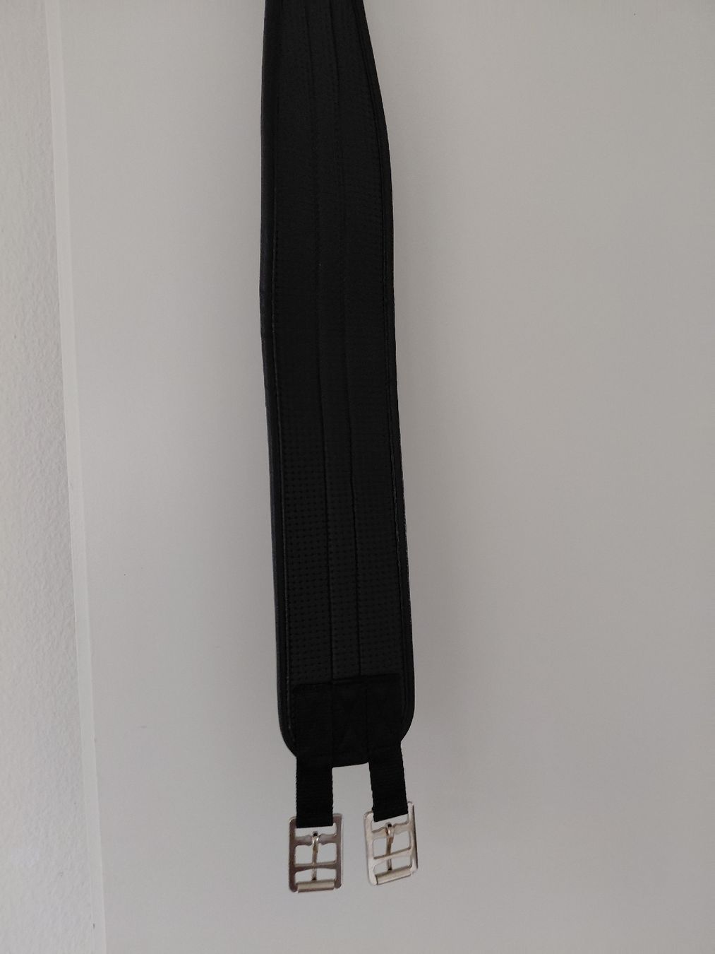 Selle & Accessori: Sattelgurt 170cm Kaltblut – Nuovo (secondo la descrizione) da Windisch venduto da stiiine 2