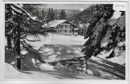 Blaukreuz-Heim Davos-Wolfgang