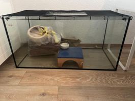 Hamstergehege für mutige Nager