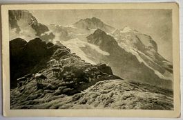 AK: Jungfrau & Kühe - Peintre: Albert Lugadorn