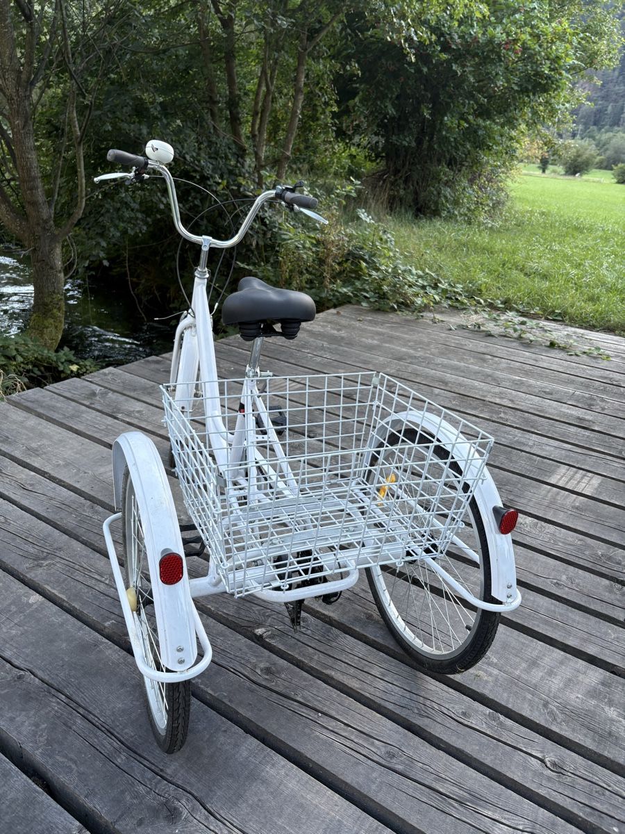 Biciclette: Schönes Dreiradvelo – Usato da Silenen venduto da Bryna 2