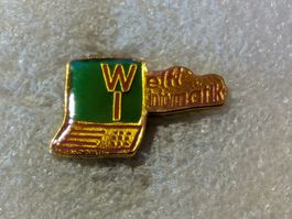 Ansteckpin 229: Welti Informatik