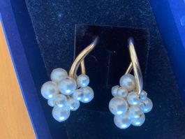 Swarovski boucle d'oreille