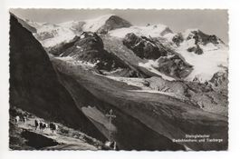 SUSTEN Steingletscher - Kühe