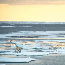 Profile image of Hokuspokus.21