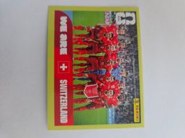 SUI 13