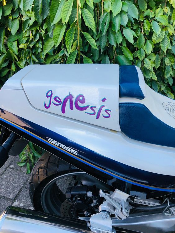 Yamaha FZR1000 Kaufen auf Ricardo