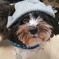 Profile image of Benji2017