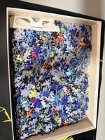 Clementoni Magic 3D Puzzle 1000 Teile Delfin mit 3D-Brille 