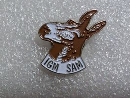 Ansteckpin 260: IGM
