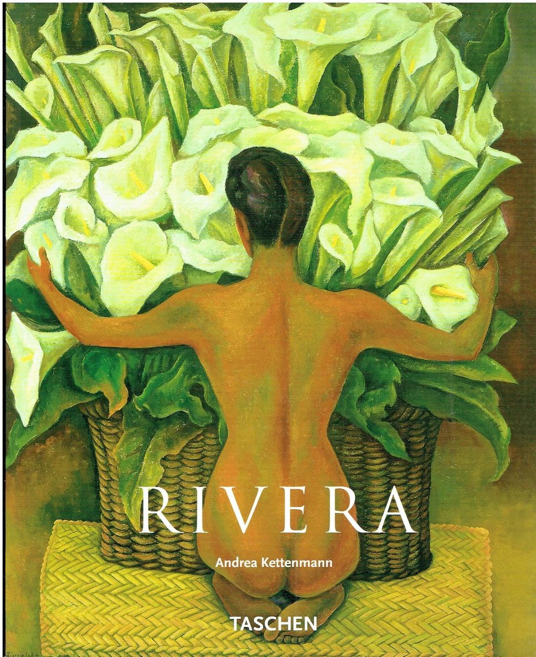 Libri: RIVERA – Usato da Flims - Dorf venduto da Stagediver